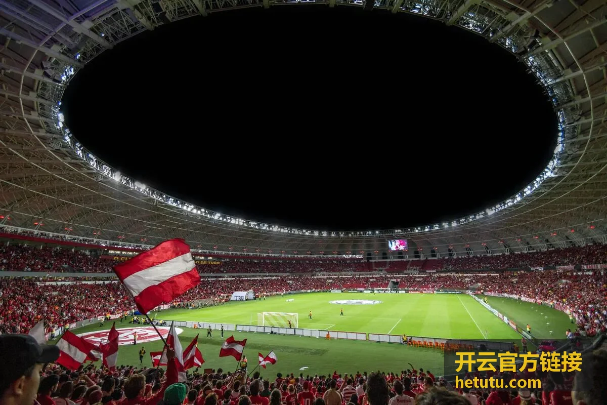 开云官方链接登录与表单页面细节核对示意图